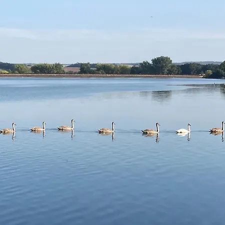 캠프장 Nr 5 Pod Mit Terrasse Und Seeblick Langenbernsdorf